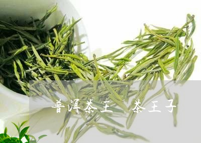 普洱茶王 茶王子/2023031711824